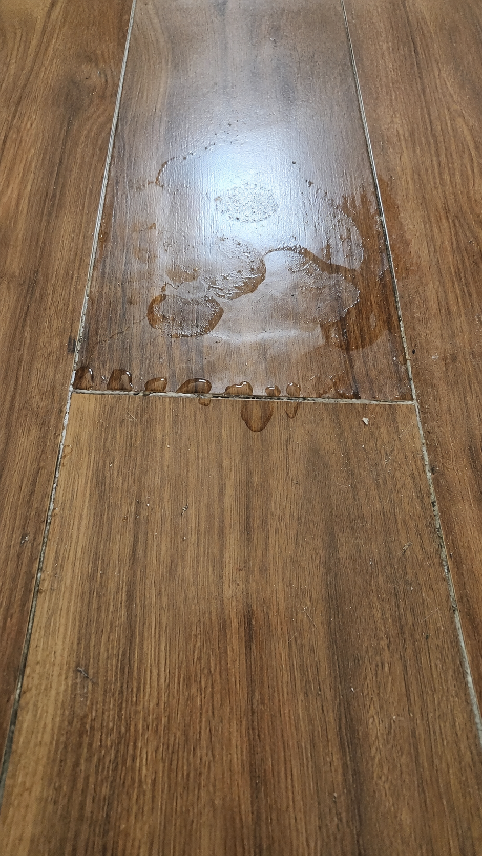 Water leaks or moisture damage image